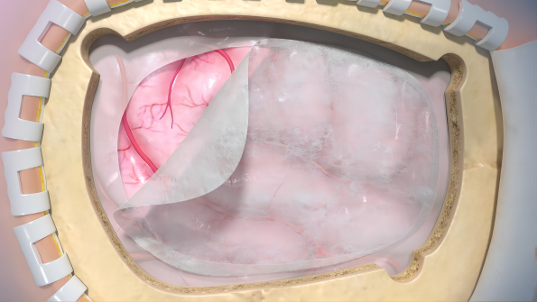 图片2(1).png