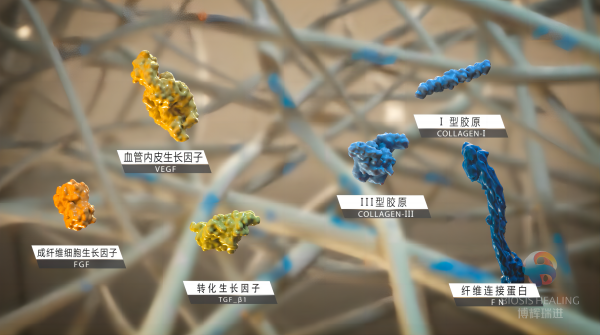 SIS材料成分(1).png