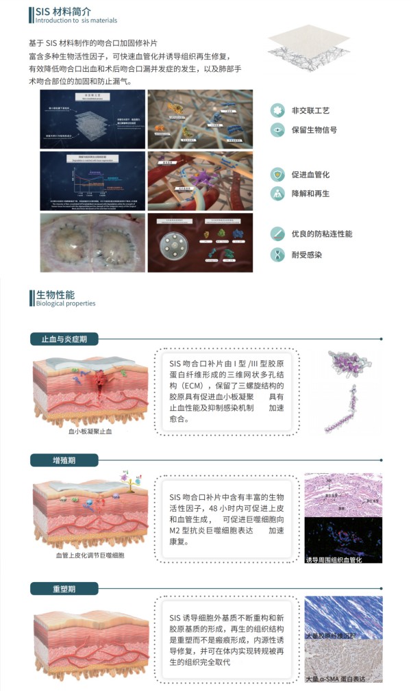 图4-SIS材料介绍-.jpg