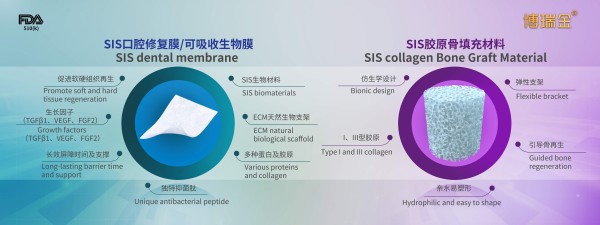 1762133727380031.jpg 产品图.jpg