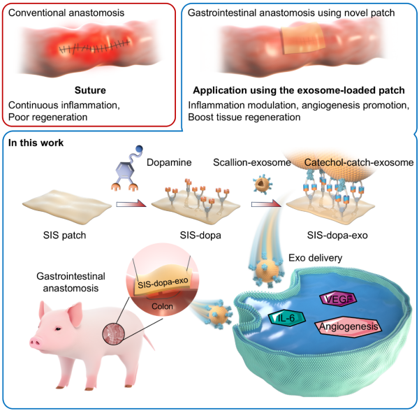 1763080929978397.png 图片1.png