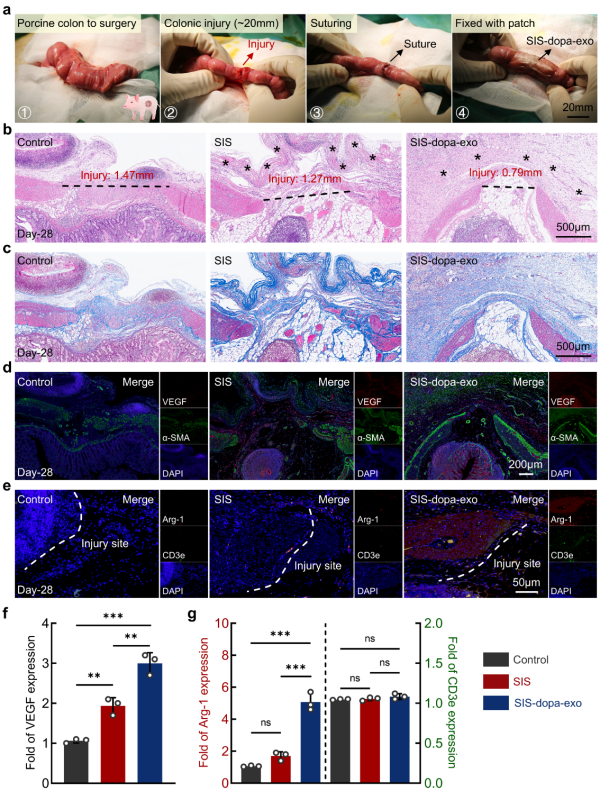 1763081033166593.png 图片5.png